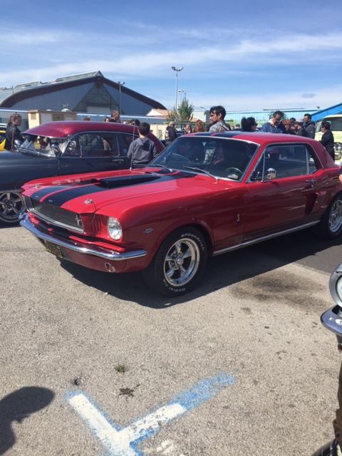Mustang-5