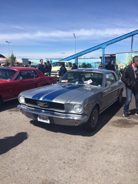 Mustang-6