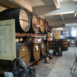 Sortie Grenouilles  visite de la distillerie Cherry & Rocher_10