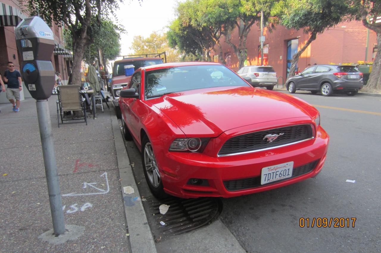 Voyage in USA  San Fransisco Mustang