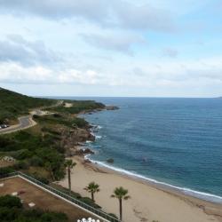 Corse 21 