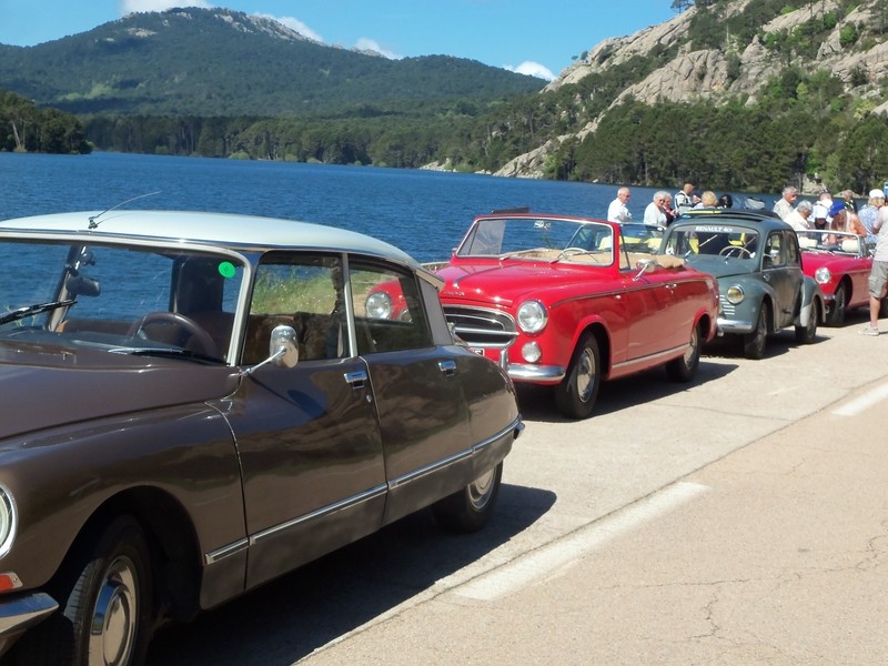 Corse 31 