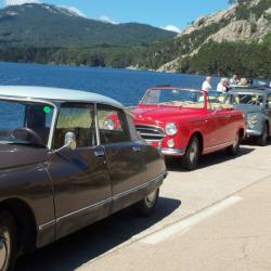 Corse 31 