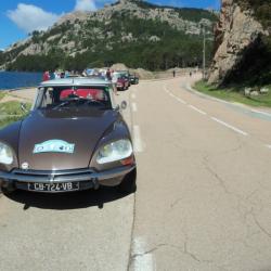 Corse 35 