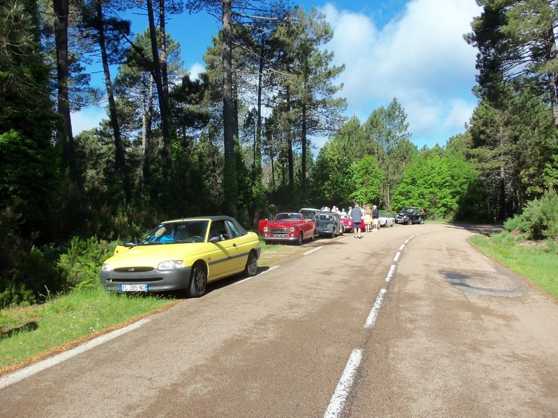 Corse 38 