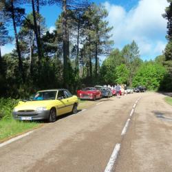 Corse 38 