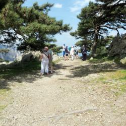 Corse 40 