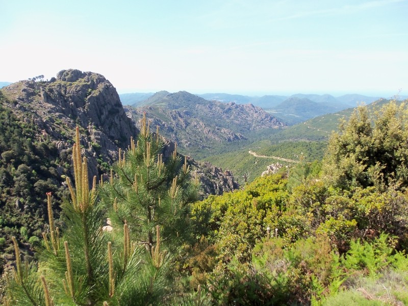 Corse 43 