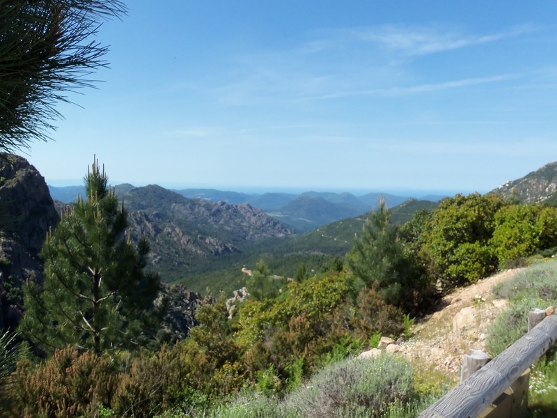Corse 44 