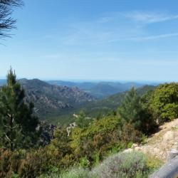 Corse 44 