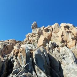 Corse 47 