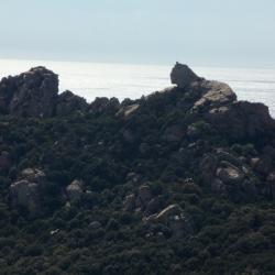 Corse 50 