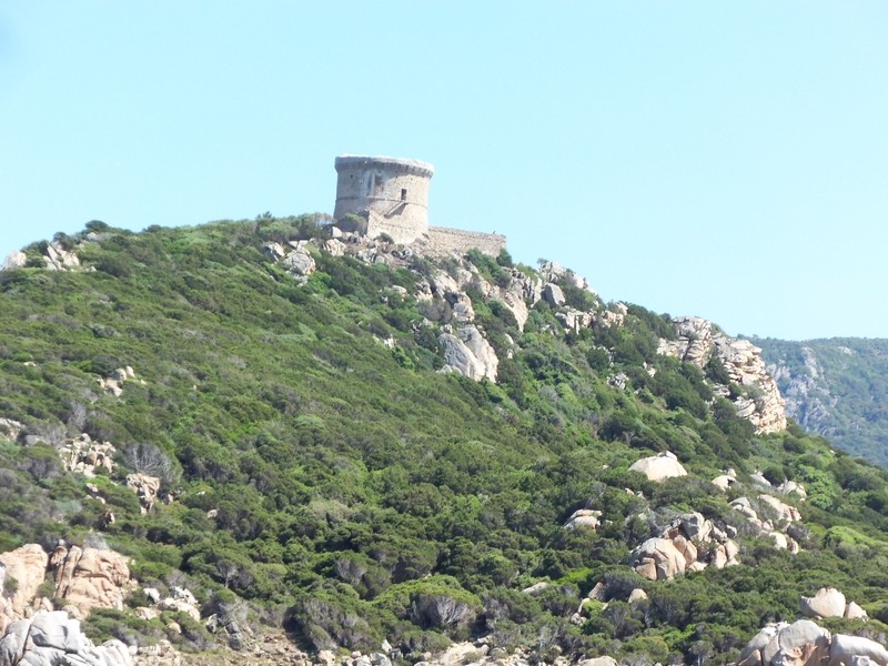 Corse propriano 1 