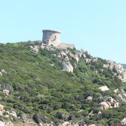 Corse propriano 1 