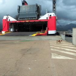Corse retour14 